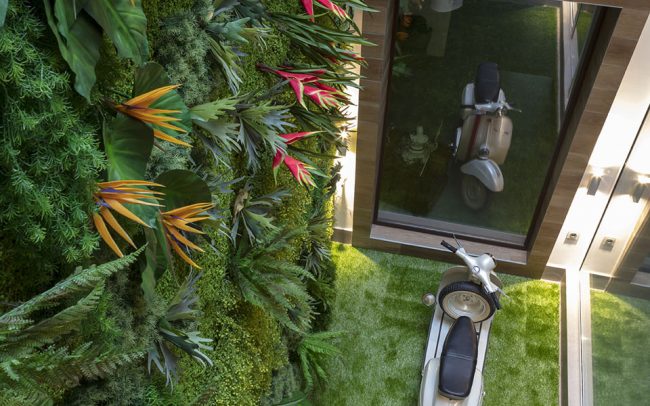 jardín vertical de estilo tropical en vivienda